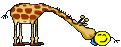 :giraffe